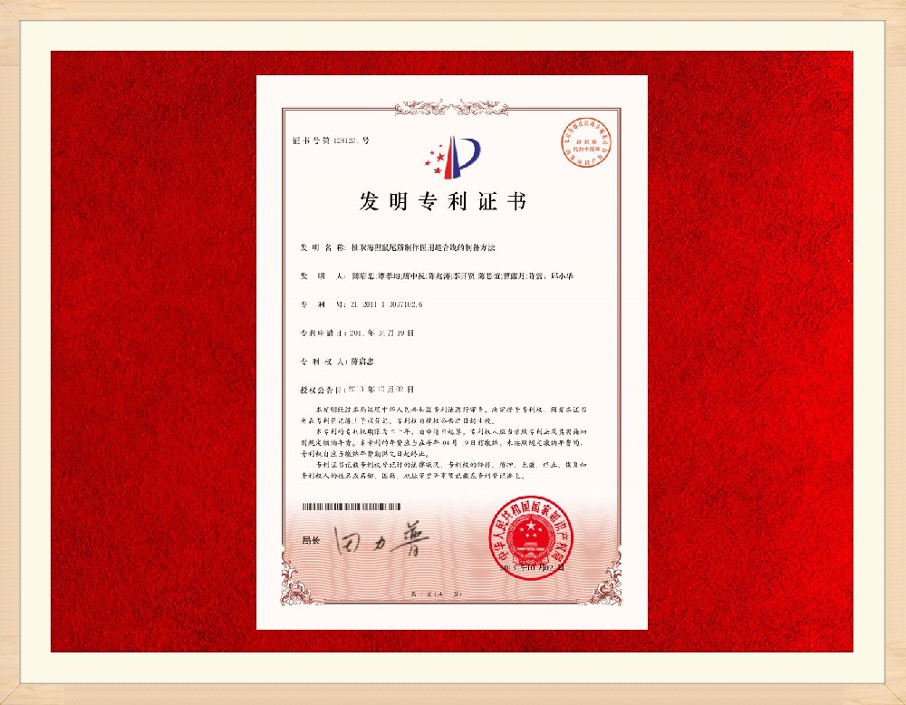 专利04-01